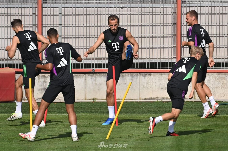 托特纳姆热 托特纳姆热